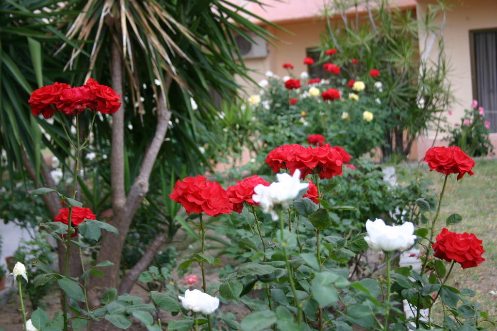 Lyristis Dinos Studios & Apartments Faliraki Luaran gambar